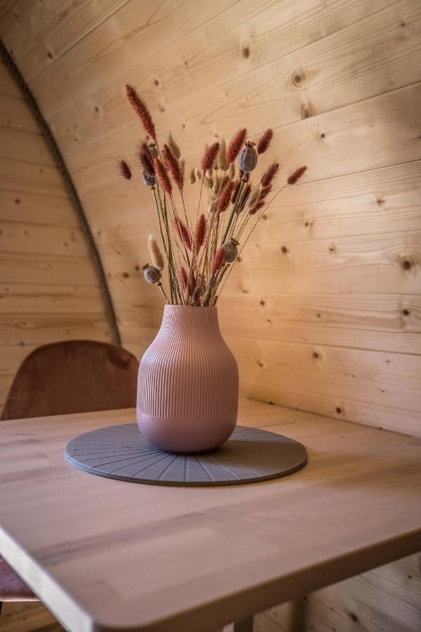 Luxe Woodlodge In Een Prachtige En Bosrijke Omgeving Bornerbroek Exteriér fotografie